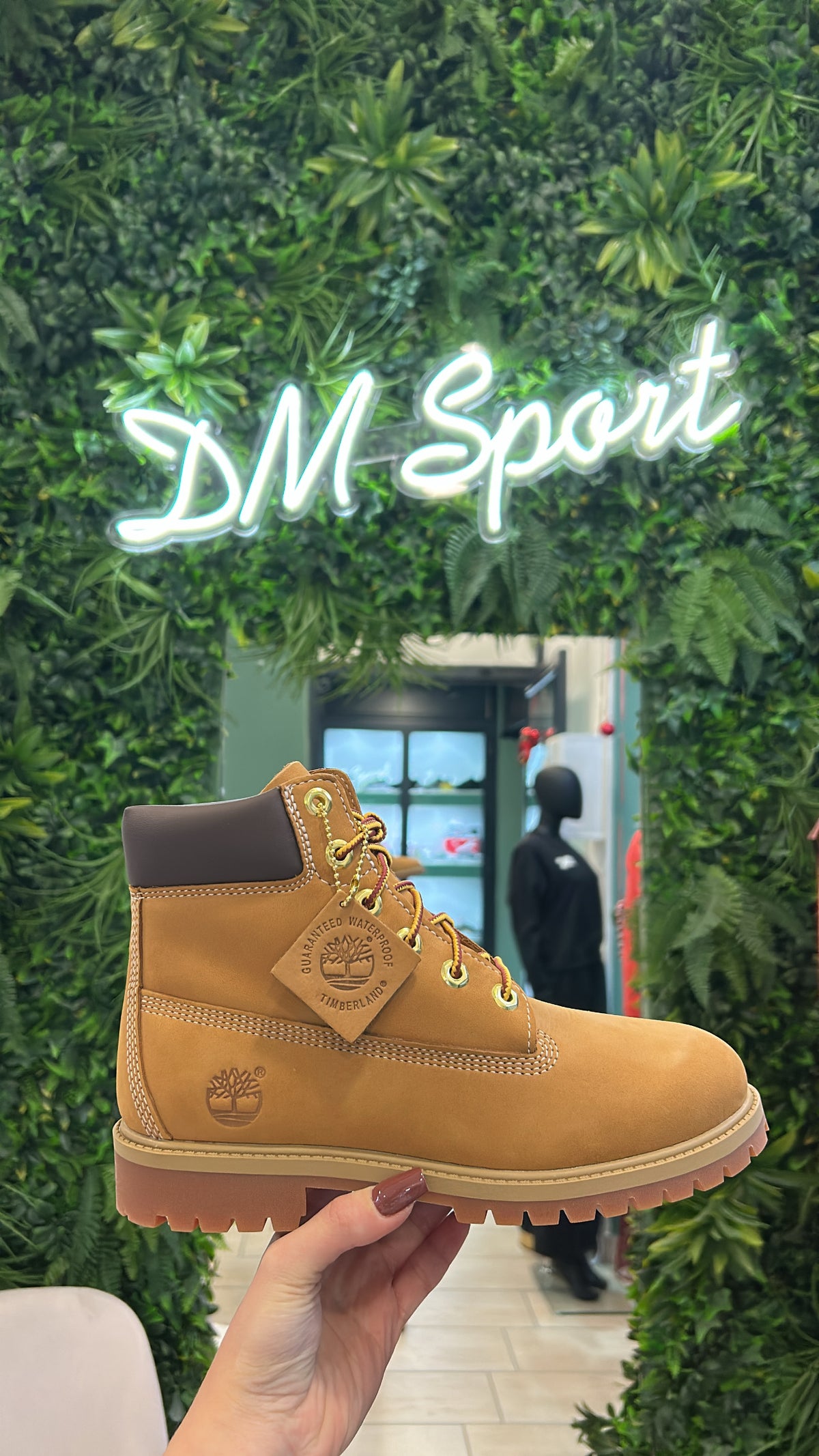 Timberland Premium