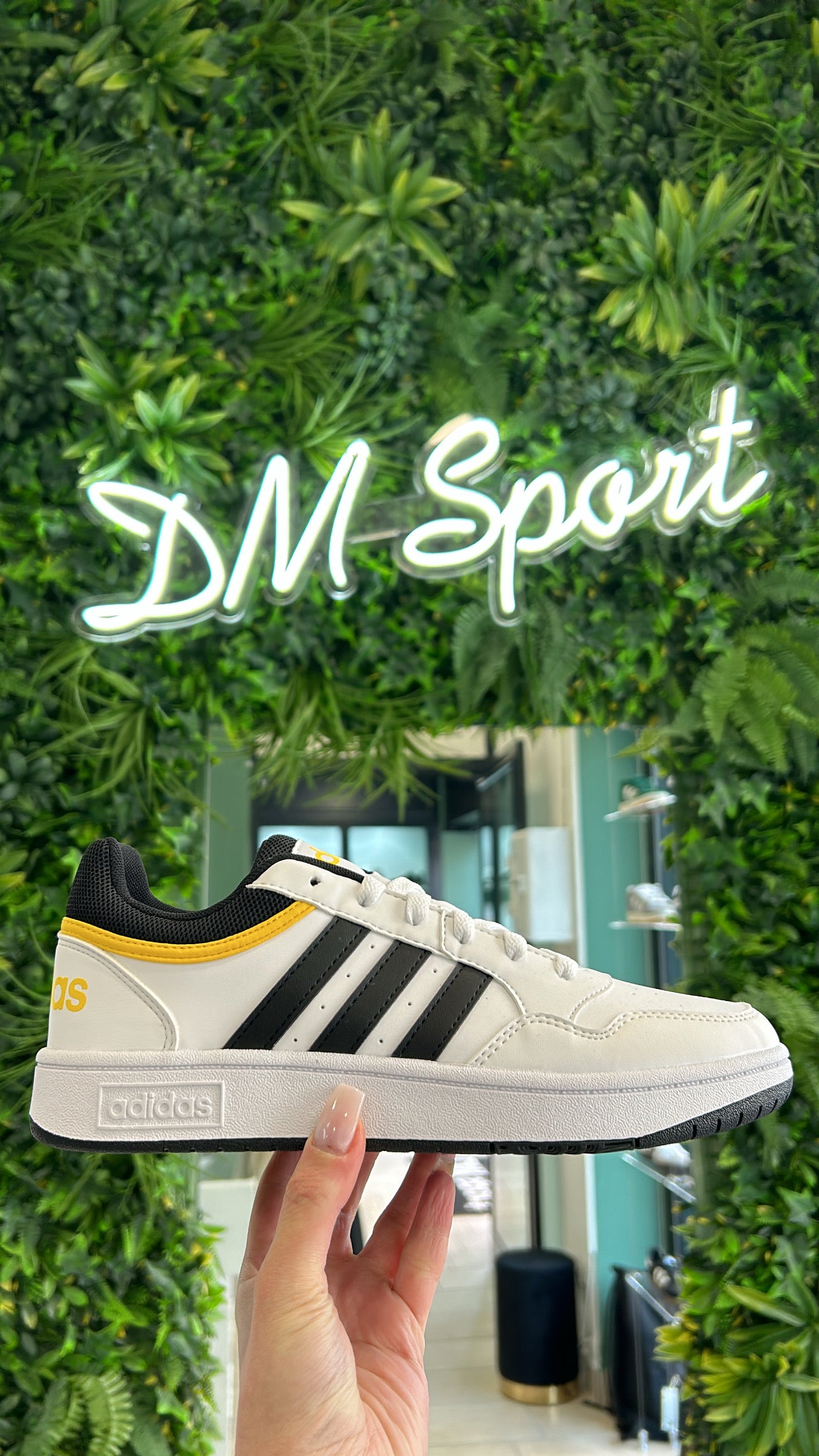 Adidas Hoops