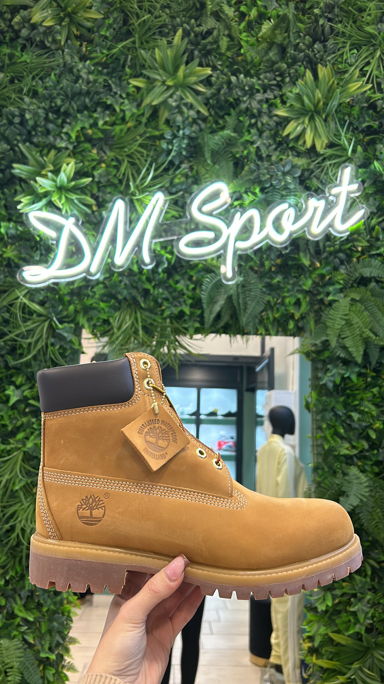 Timberland Premium